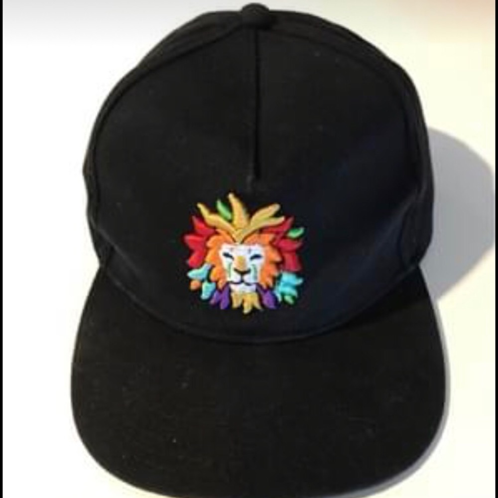 San Diego Zoo Lion hat / cap